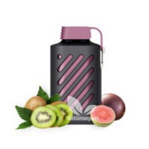vozol-gear-10000-Kiwi-Guava-Passion-Fruit-300x300
