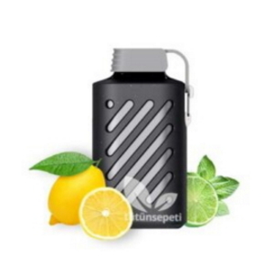 vozol-gear-10000-lemon-mint-300x300