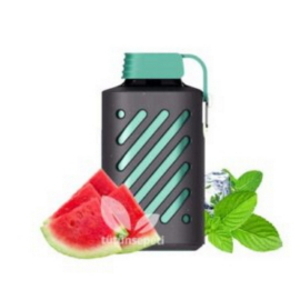 vozol-gear-10000-watermelon-ice-300x300